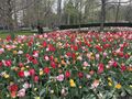 thumb IMG 7581