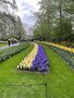 thumb IMG 7589