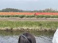 thumb IMG 7636