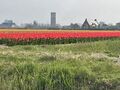 thumb IMG 7637